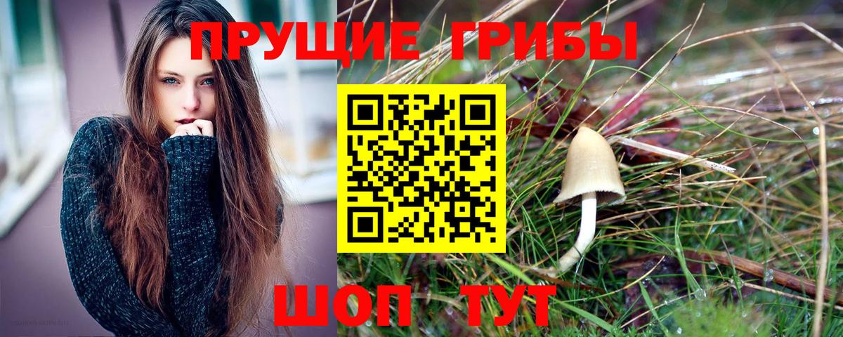 Галлюциногенные грибы GOLDEN TEACHER  Псилоцибиновые грибы Magic Shrooms  Вход с VPN  Курчатов 